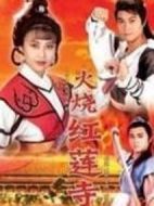 火燒紅蓮寺劇情介紹(1-12全集)