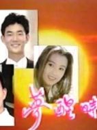 夢醒時分劇情介紹(1-20全集)