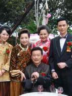 如錦劇情介紹(1-40全集)