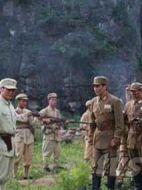 美麗的南方劇情介紹(1-20全集)