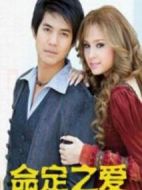 命定之愛劇情介紹(1-30全集)