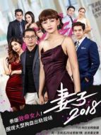 妻子2018[普通話版]劇情介紹(1-29全集)