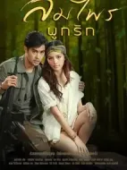 親愛的英雄之風(fēng)森結(jié)合為愛劇情介紹(1-7全集)