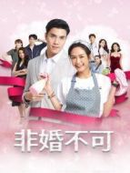 非婚不可[普通話版]劇情介紹(1-30全集)
