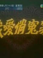 我愛俏冤家劇情介紹(1-50全集)