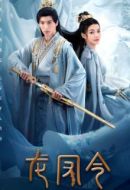 龍鳳令劇情介紹(1-24全集)