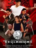 雙胞胎猴子劇情介紹(1-13全集)