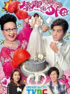 燦爛的外母劇情介紹(1-20全集)