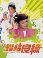 錯結(jié)良緣劇情介紹(1-9全集)