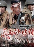 風雨沙坡頭劇情介紹(1-35全集)