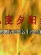 幾度夕陽紅劇情介紹(1-5全集)