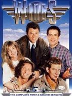 插翅欲飛劇情介紹(1-172全集)