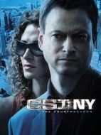 犯罪現(xiàn)場(chǎng)調(diào)查：紐約第四季劇情介紹(1-21全集)