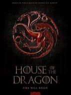 龍之家族劇情介紹(1-10全集)