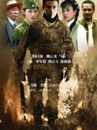 大西南剿匪記劇情介紹(1-40全集)