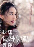 我在錫林郭勒等你劇情介紹(1-32全集)