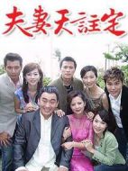 夫妻天注定劇情介紹(1-全集)