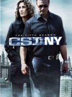 犯罪現(xiàn)場調(diào)查：紐約第五季劇情介紹(1-25全集)