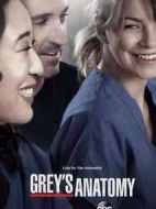 實習(xí)醫(yī)生格蕾第十季