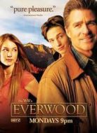 雪山鎮(zhèn)第二季海報