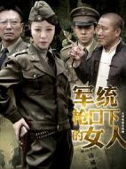 軍統(tǒng)槍口下的女人劇情介紹(1-30全集)
