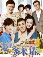 愛的多米諾劇情介紹(1-35全集)