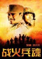 戰(zhàn)火兵魂劇情介紹(1-35全集)