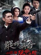 絕命追蹤劇情介紹(1-36全集)