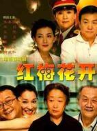 紅梅花開劇情介紹(1-28全集)