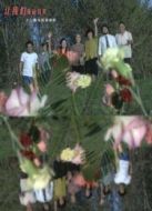 讓我們蕩起雙槳劇情介紹(1-12全集)