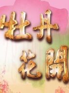 牡丹花開(kāi)劇情介紹(1-100全集)
