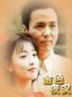 金色夜叉劇情介紹(1-全集)