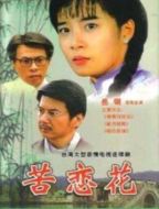 苦戀花劇情介紹(1-23全集)