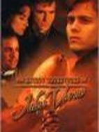 儒勒·凡爾納的秘密冒險