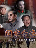 國(guó)家命運(yùn)劇情介紹(1-29全集)