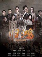 歸鴻劇情介紹(1-34全集)