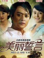 美麗誓言劇情介紹(1-23全集)