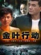 金葉行動劇情介紹(1-13全集)