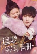 追夢(mèng)實(shí)習(xí)手冊(cè)