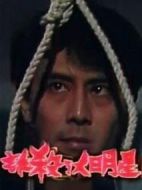 誰殺了大明星劇情介紹(1-14全集)