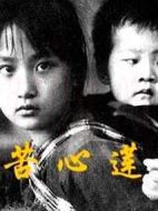 苦心蓮劇情介紹(1-40全集)