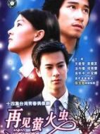 再見螢火蟲劇情介紹(1-13全集)