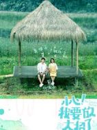 小心我要放大招了劇情介紹(1-12全集)