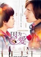 因為愛劇情介紹(1-30全集)