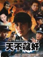 天不藏奸劇情介紹(1-28全集)