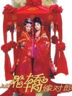 上錯花轎嫁對郎劇情介紹(1-20全集)