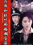 左偉和杜葉的婚姻生活劇情介紹(1-20全集)