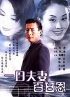 一日夫妻百日恩 高曙光版劇情介紹(1-20全集)