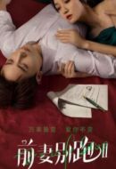 前妻別跑2劇情介紹(1-24全集)